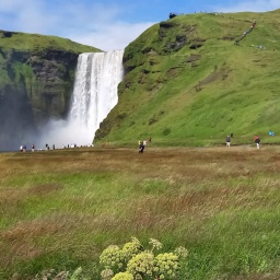 island rundreise 2025_15_